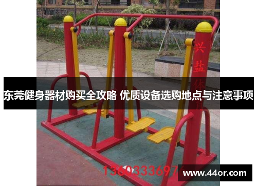 东莞健身器材购买全攻略 优质设备选购地点与注意事项
